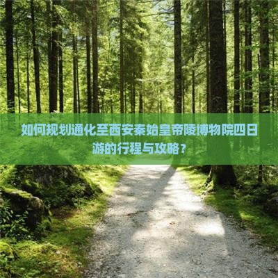 如何规划通化至西安秦始皇帝陵博物院四日游的行程与攻略？