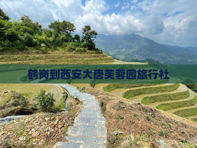 鹤岗到西安大唐芙蓉园旅行社