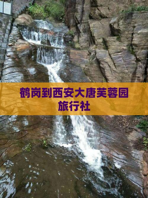 鹤岗到西安大唐芙蓉园旅行社