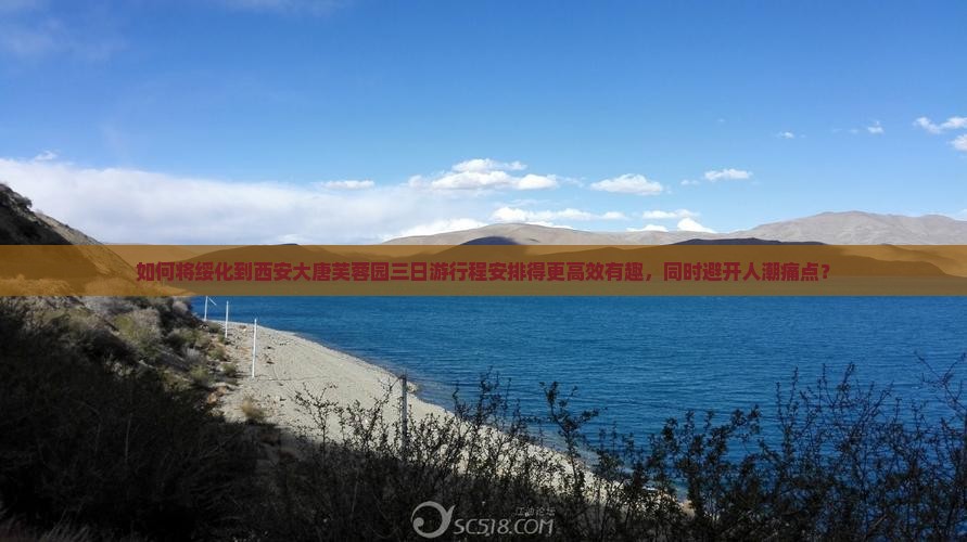 如何将绥化到西安大唐芙蓉园三日游行程安排得更高效有趣，同时避开人潮痛点？