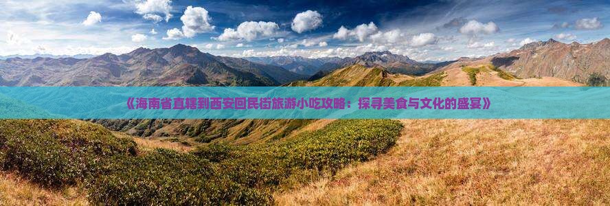 《海南省直辖到西安回民街旅游小吃攻略：探寻美食与文化的盛宴》