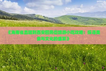 《海南省直辖到西安回民街旅游小吃攻略：探寻美食与文化的盛宴》