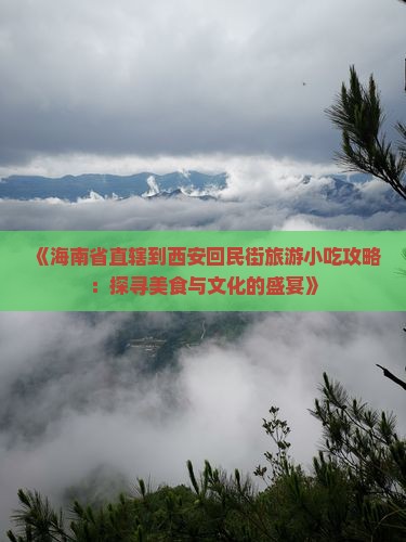 《海南省直辖到西安回民街旅游小吃攻略：探寻美食与文化的盛宴》
