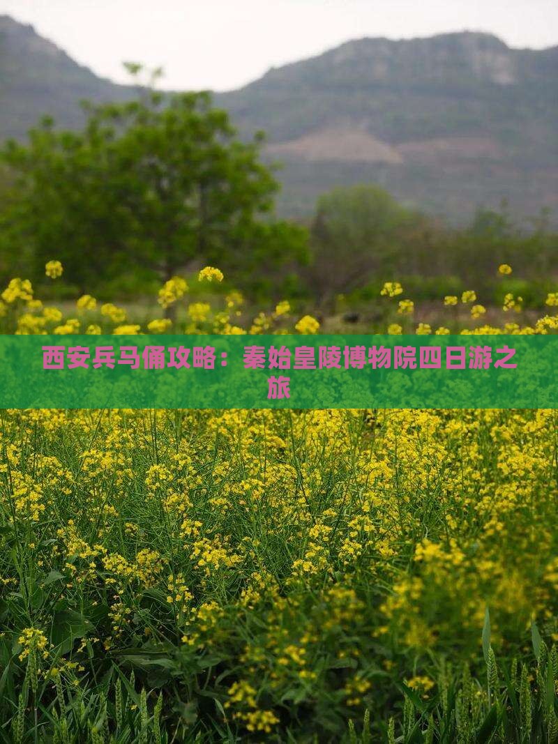 西安兵马俑攻略：秦始皇陵博物院四日游之旅