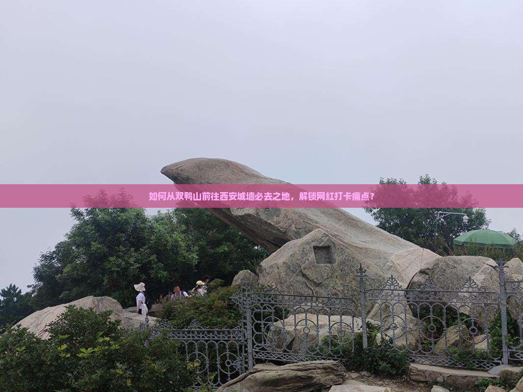 如何从双鸭山前往西安城墙必去之地，解锁网红打卡痛点？