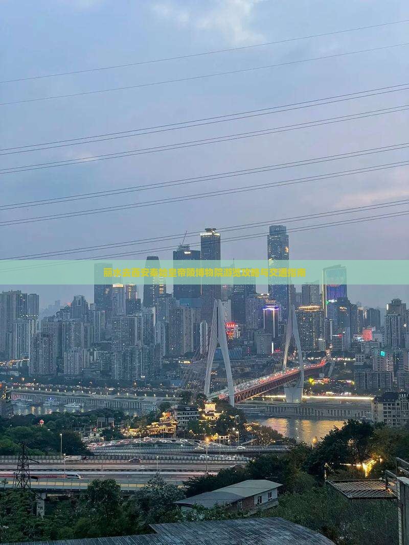 丽水去西安秦始皇帝陵博物院游览攻略与交通指南