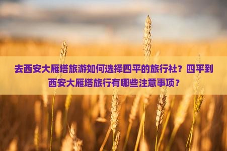 去西安大雁塔旅游如何选择四平的旅行社？四平到西安大雁塔旅行有哪些注意事项？