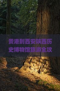 贵港到西安陕西历史博物馆旅游全攻略——探索陕西历史博物馆中的悠久历史