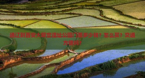通辽到西安大明宫遗址公园门票多少钱？怎么买？交通方便吗？