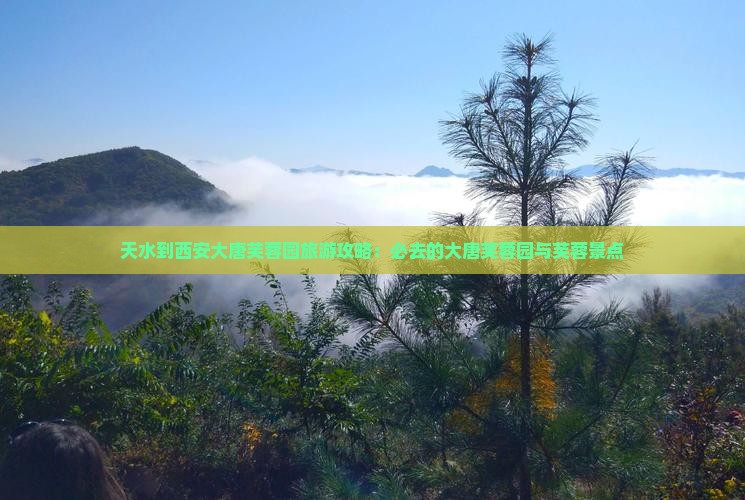 天水到西安大唐芙蓉园旅游攻略：必去的大唐芙蓉园与芙蓉景点
