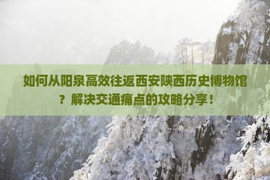 如何从阳泉高效往返西安陕西历史博物馆？解决交通痛点的攻略分享！