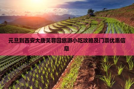 元旦到西安大唐芙蓉园旅游小吃攻略及门票优惠信息