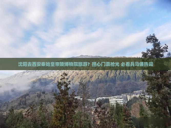 沈阳去西安秦始皇帝陵博物院旅游？担心门票抢光+必看兵马俑热词