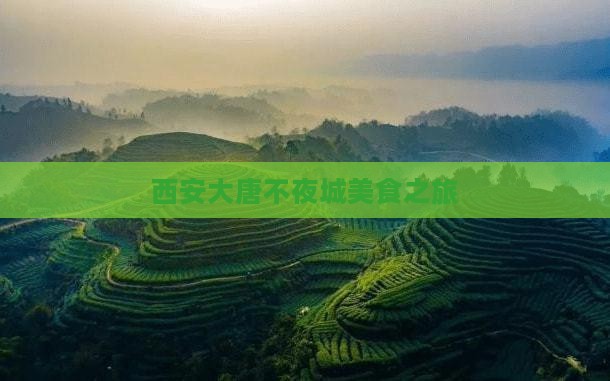 西安大唐不夜城美食之旅