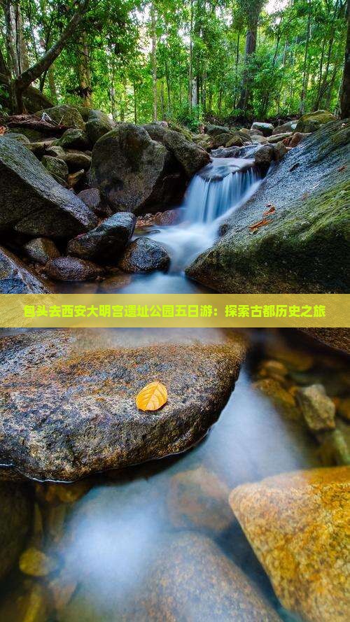 包头去西安大明宫遗址公园五日游：探索古都历史之旅