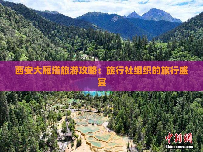 西安大雁塔旅游攻略：旅行社组织的旅行盛宴