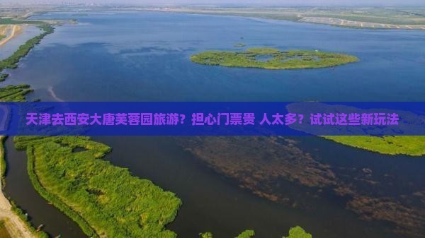 天津去西安大唐芙蓉园旅游？担心门票贵+人太多？试试这些新玩法