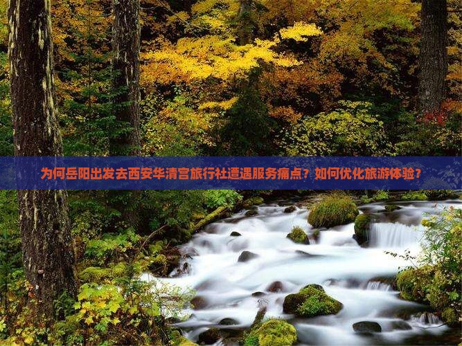 为何岳阳出发去西安华清宫旅行社遭遇服务痛点？如何优化旅游体验？