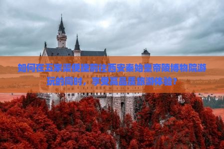 如何在五家渠便捷前往西安秦始皇帝陵博物院游玩的同时，享受高品质旅游体验？