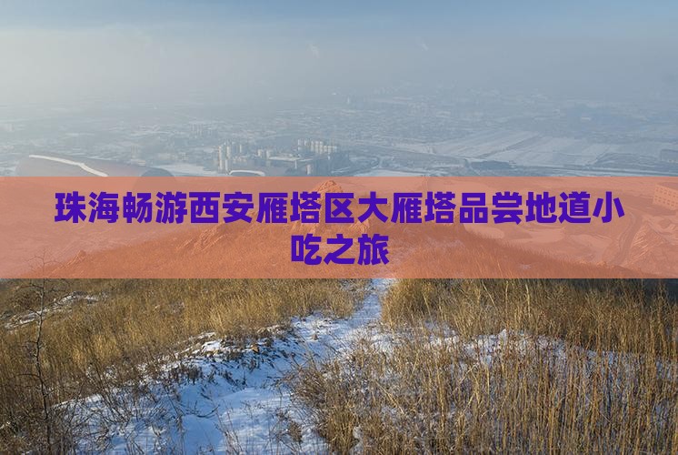 珠海畅游西安雁塔区大雁塔品尝地道小吃之旅