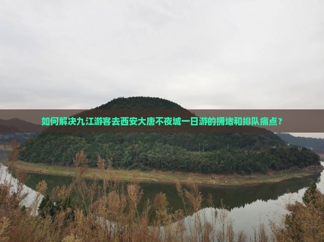 如何解决九江游客去西安大唐不夜城一日游的拥堵和排队痛点？