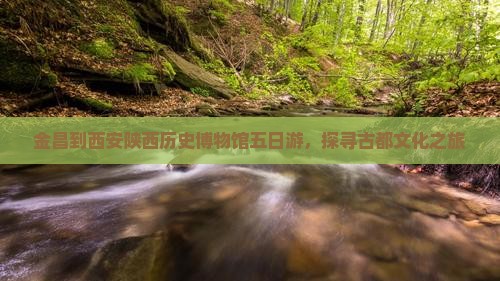 金昌到西安陕西历史博物馆五日游，探寻古都文化之旅