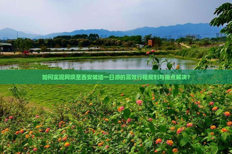 如何实现阿坝至西安城墙一日游的高效行程规划与痛点解决？
