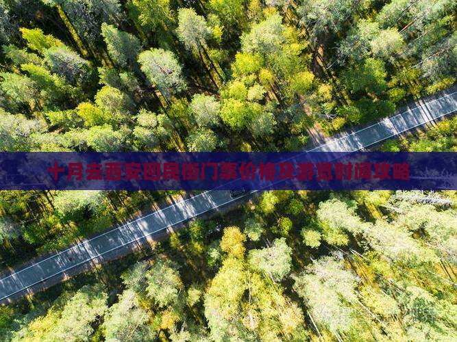 十月去西安回民街门票价格及游览时间攻略