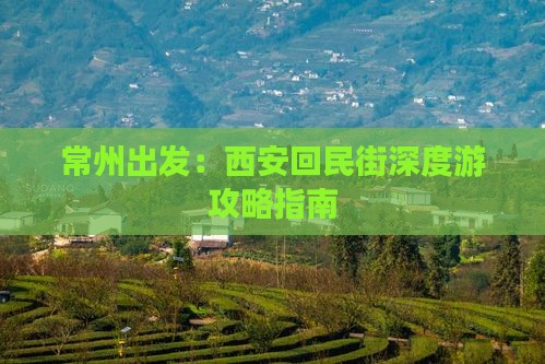 常州出发：西安回民街深度游攻略指南