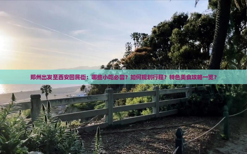 郑州出发至西安回民街：哪些小吃必尝？如何规划行程？特色美食攻略一览？