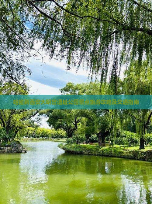 哈密到西安大明宫遗址公园景点旅游攻略及交通指南