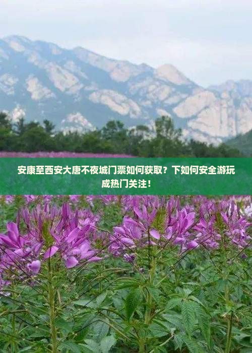 安康至西安大唐不夜城门票如何获取？下如何安全游玩成热门关注！