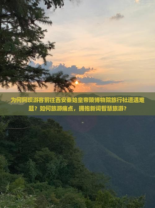 为何阿坝游客前往西安秦始皇帝陵博物院旅行社遭遇难题？如何旅游痛点，拥抱新词智慧旅游？