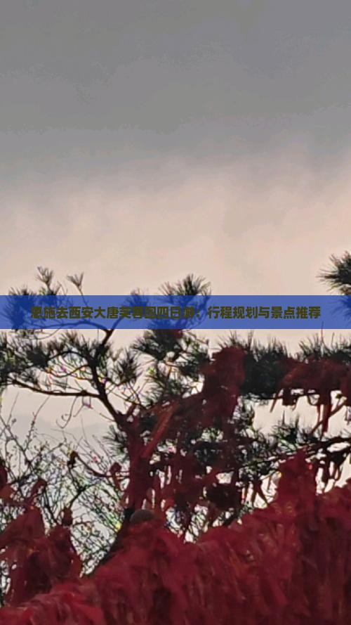 恩施去西安大唐芙蓉园四日游：行程规划与景点推荐