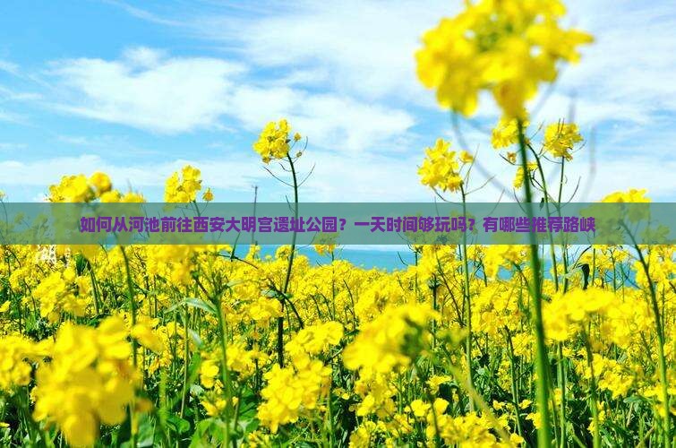 如何从河池前往西安大明宫遗址公园？一天时间够玩吗？有哪些推荐路峡