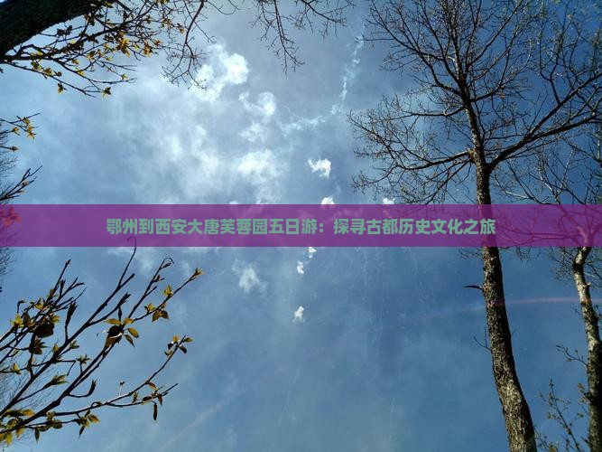 鄂州到西安大唐芙蓉园五日游：探寻古都历史文化之旅