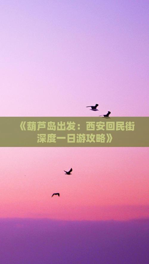 《葫芦岛出发：西安回民街深度一日游攻略》