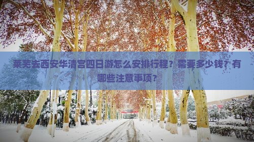 莱芜去西安华清宫四日游怎么安排行程？需要多少钱？有哪些注意事项？