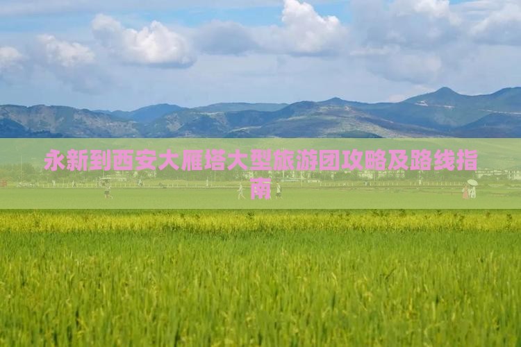 永新到西安大雁塔大型旅游团攻略及路线指南