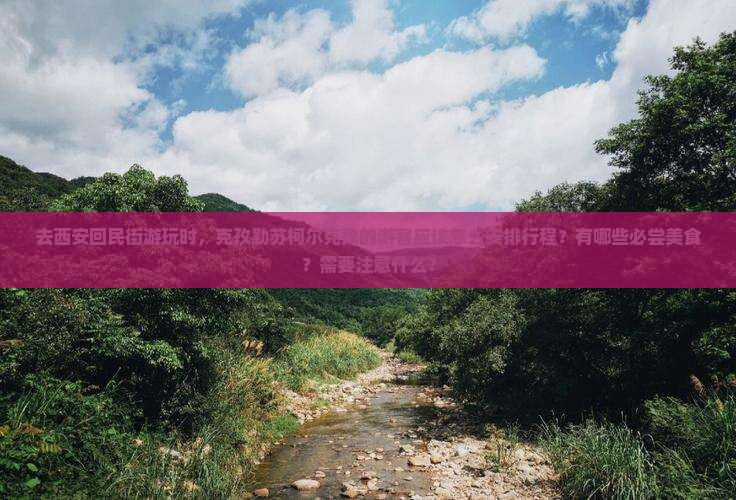 去西安回民街游玩时，克孜勒苏柯尔克孜的游客应该怎么安排行程？有哪些必尝美食？需要注意什么？