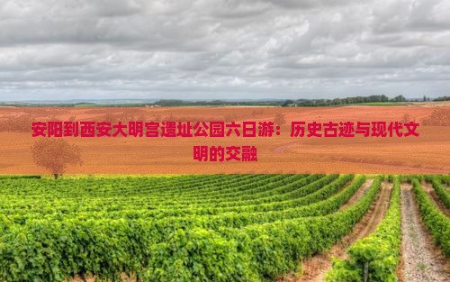 安阳到西安大明宫遗址公园六日游：历史古迹与现代文明的交融