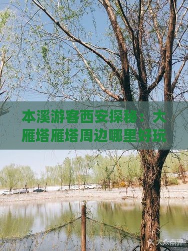 本溪游客西安探秘：大雁塔雁塔周边哪里好玩