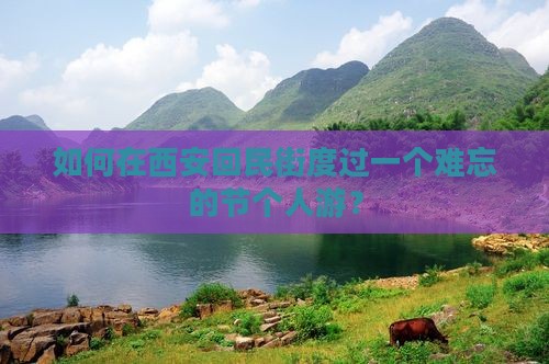 如何在西安回民街度过一个难忘的节个人游？
