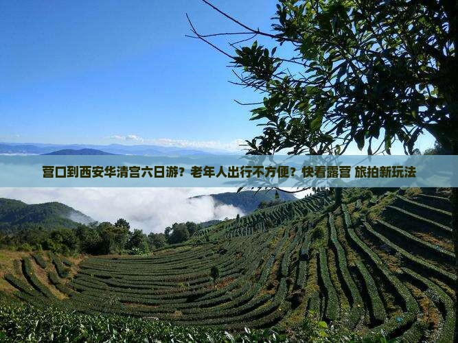 营口到西安华清宫六日游？老年人出行不方便？快看露营+旅拍新玩法