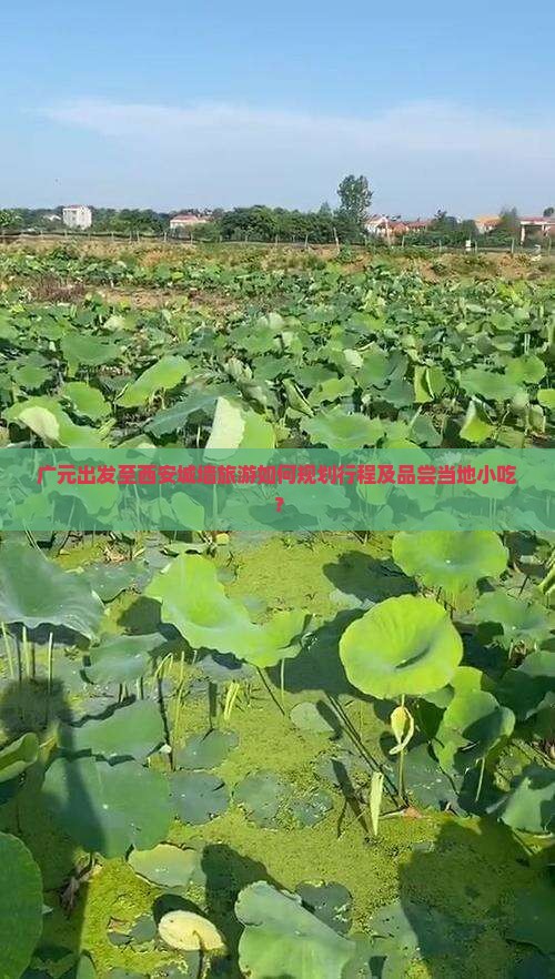广元出发至西安城墙旅游如何规划行程及品尝当地小吃? 广元出发至西安城墙旅游如何规划行程及品尝当地小吃?