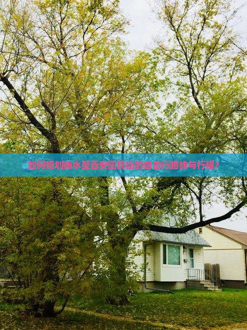 如何规划衡水至西安回民街的自由行路线与行程？