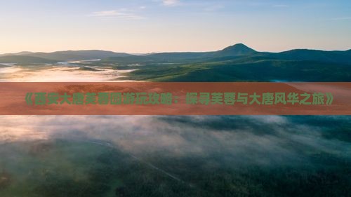 《西安大唐芙蓉园游玩攻略：探寻芙蓉与大唐风华之旅》