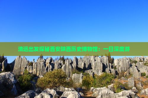 清远出发探秘西安陕西历史博物馆：一日深度游