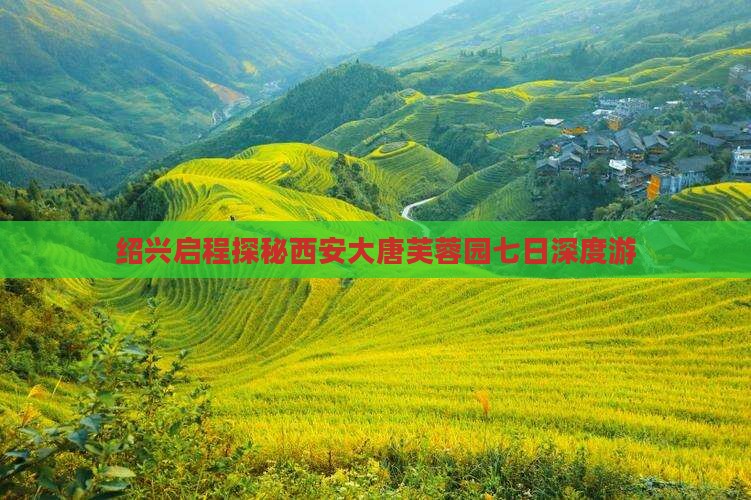 绍兴启程探秘西安大唐芙蓉园七日深度游