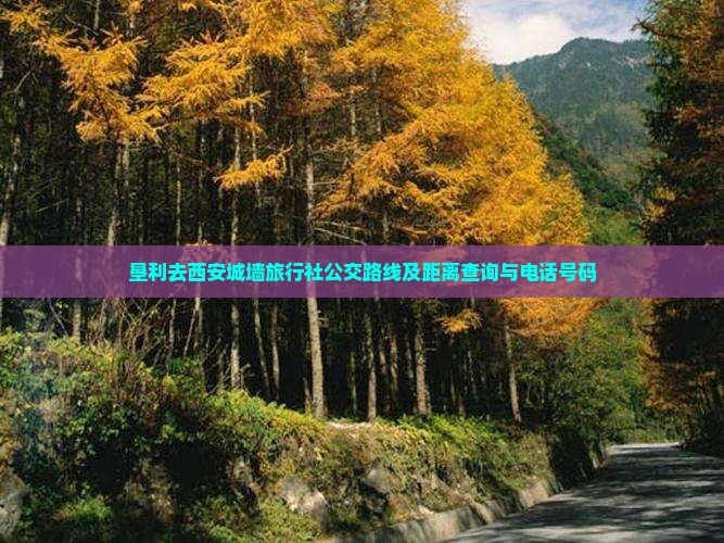 垦利去西安城墙旅行社公交路线及距离查询与电话号码